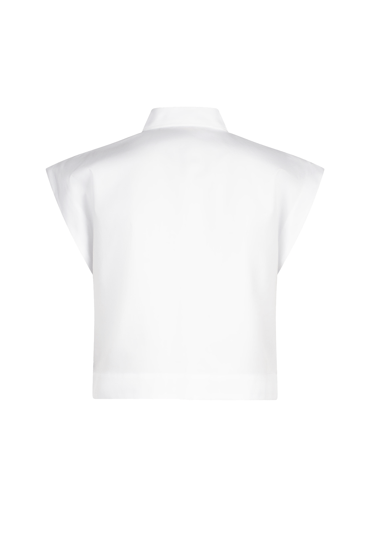 Bellis - Blanc de Blanc