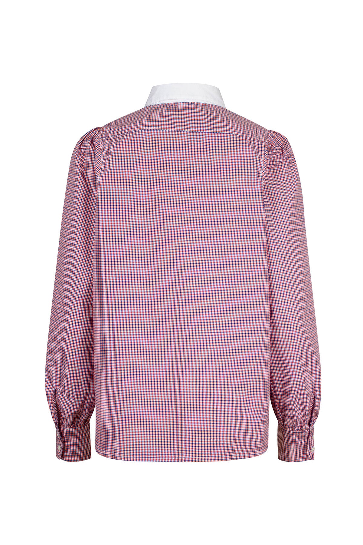 Patricia - Tangerine