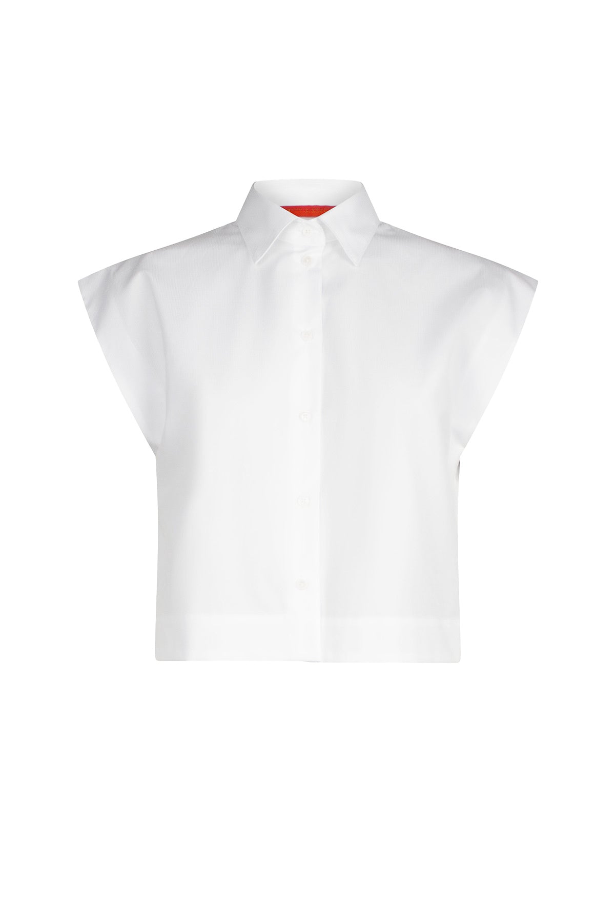 Bellis - Blanc de Blanc