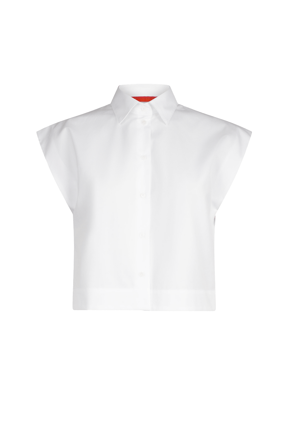 Bellis - Blanc de Blanc