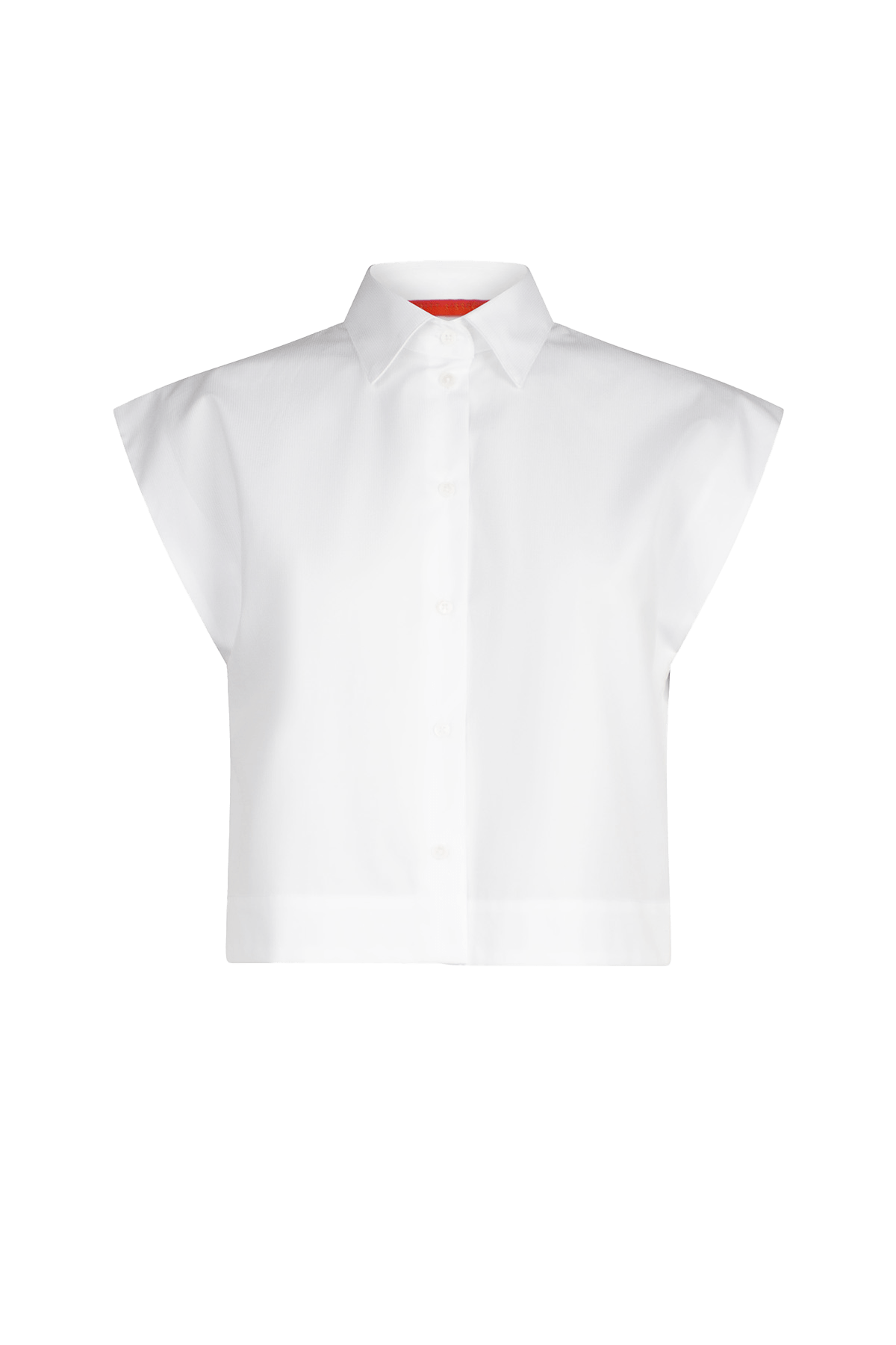 Bellis - Blanc de Blanc