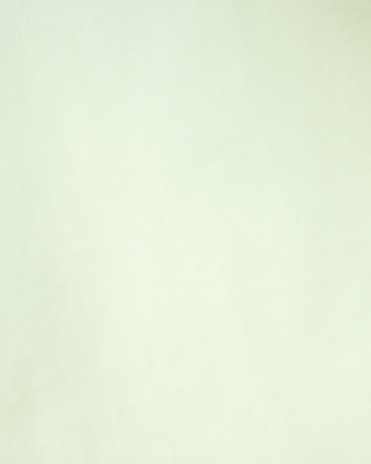 Bee Shirt - Pistache Cotton